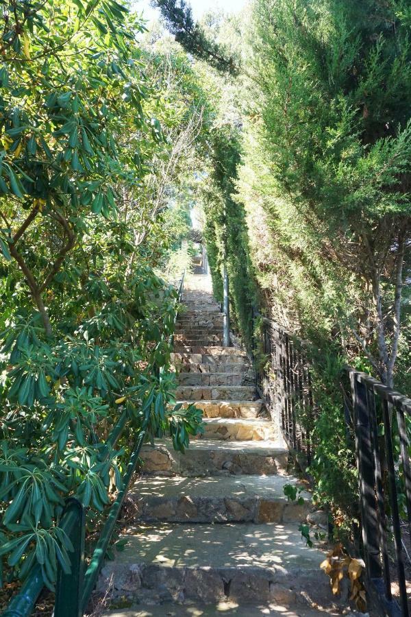 Casa Olive Hébergement de vacances