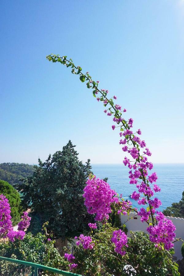 Casa Olive Hébergement de vacances