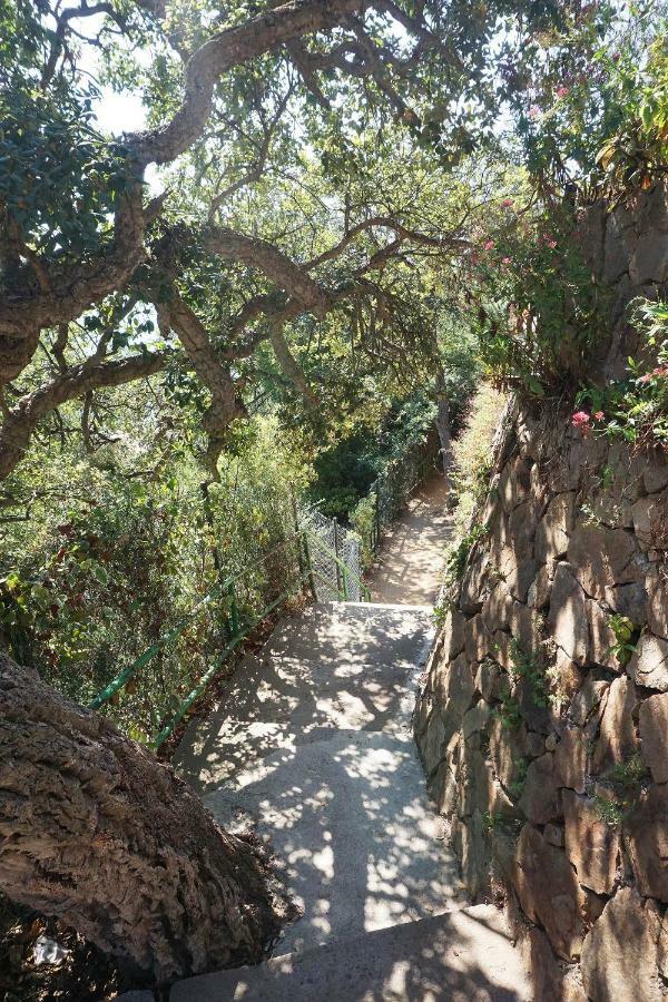 Hébergement de vacances Casa Olive Lloret de Mar